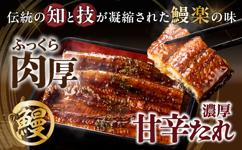 うなぎ蒲焼特大2尾(さんしょう・たれ付き)計380g以上 鰻 魚 魚介 加工品 国産_T026-0061