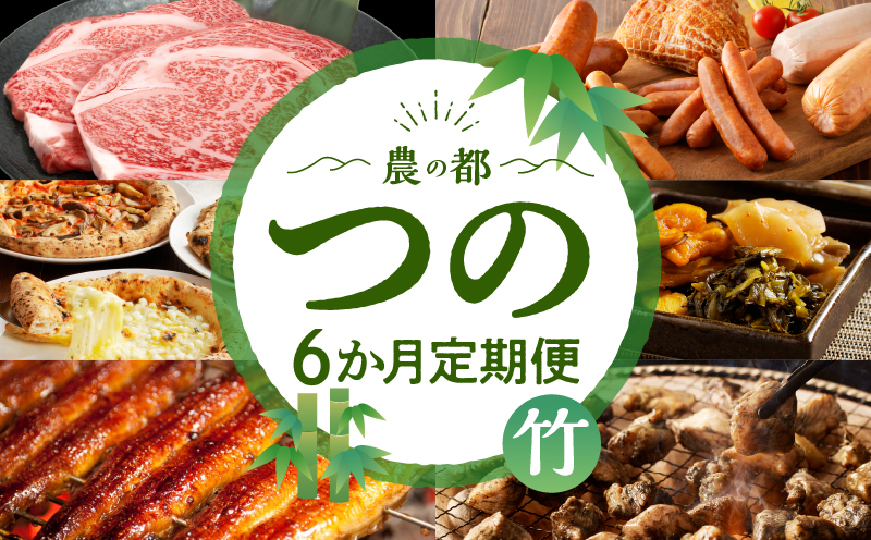 ≪6か月お楽しみ定期便≫都農町定期便(竹) 肉 加工品 鰻 国産_T999-0063