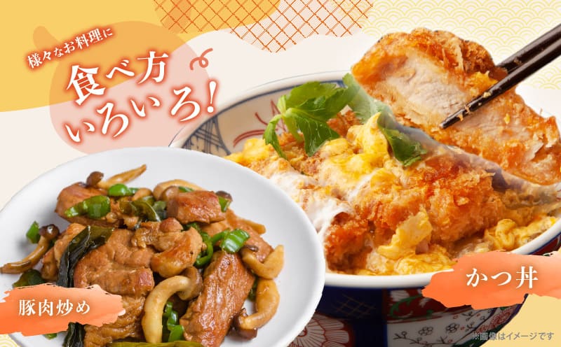 ≪宮崎ブランドポーク≫ロース(トンテキ・とんかつ用)計2kg 肉 豚 豚肉 国産_T023-0135