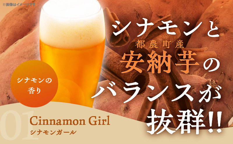 【2週間以内発送】都農クラフトビール詰め合わせ6本セット 酒 アルコール 飲料 国産_T016-0035