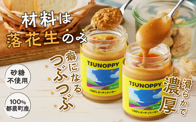 【2週間以内発送】都農町産クラフトピーナッツバターセット(スムース＆チャンク)合計2個 落花生 加工品 国産_T024-0101
