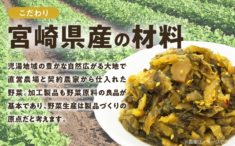 ＼ポスト投函／旨ごま高菜＆ピリ辛高菜セット 計2袋(各120g) 漬物 おかず 野菜 加工品 国産_T025-026