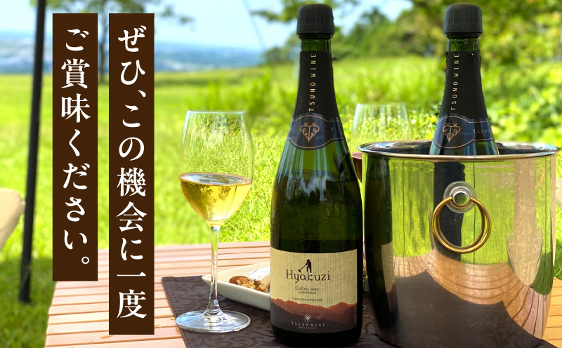 【数量限定】Hyakuzi エクストラセック カーボネイティッド(計1本) 酒 飲料 アルコール 国産_T014-0075