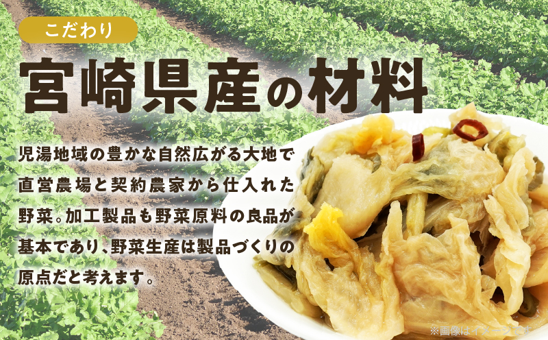 ＼ポスト投函／白菜古漬け（昆布味） 計1袋 (100g) 漬物 おかず 野菜 加工品 国産_T025-0235