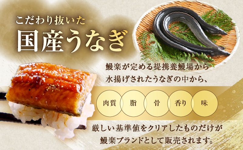 âªæ°ééå®â«ããªãÃå®®åŽç éœèŸ²çºæåŒ·ã»ããA è ç çè çŒè åœç£_T030-1293