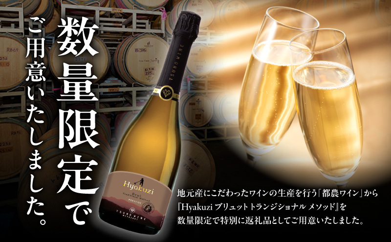 【数量限定】Hyakuzi ブリュット トラディショナル メソッド(計1本) 酒 飲料 アルコール 国産_T014-0085