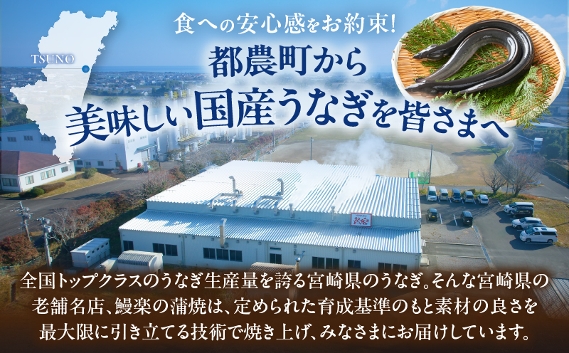 うなぎ蒲焼特大2尾(さんしょう・たれ付き)計380g以上 鰻 魚 魚介 加工品 国産_T026-0061