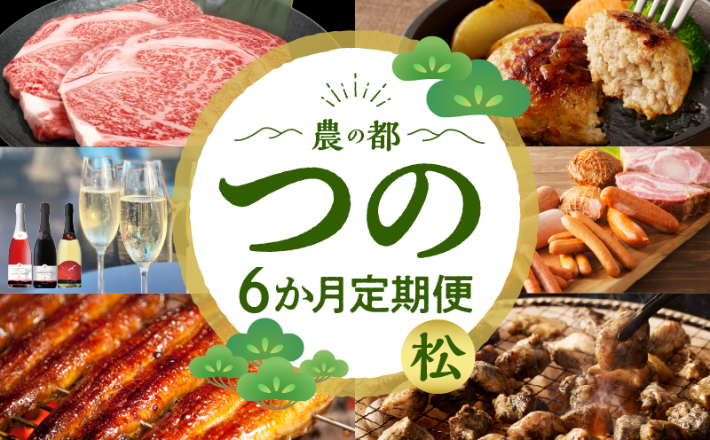 ≪6か月お楽しみ定期便≫都農町定期便(松) 肉 加工品 鰻 国産_T999-0073