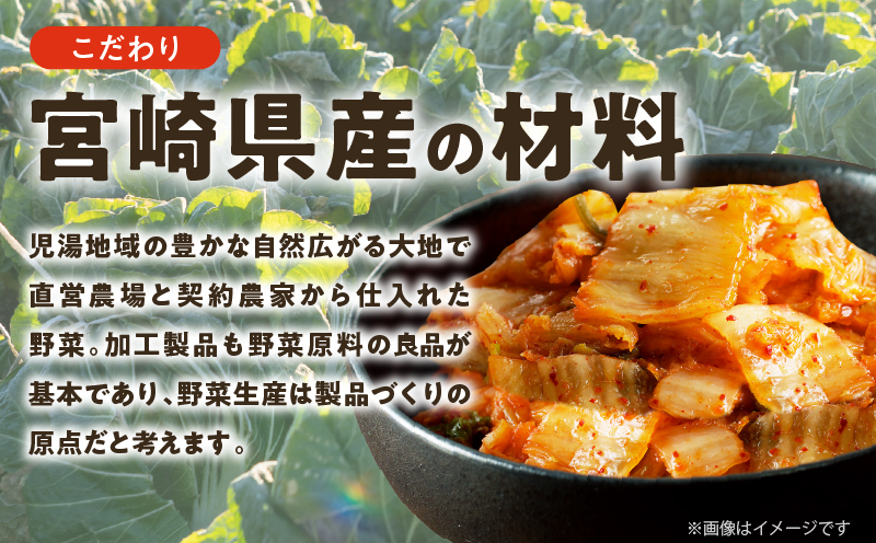 çœèãã ã èš1è¢ (1kg) æŒ¬ç© ããã éè å å·¥å åœç£_T025-0405