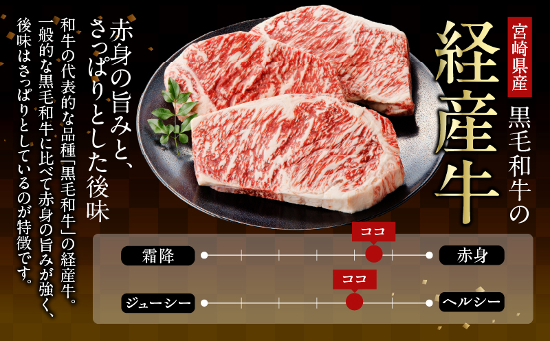 月数量限定≪訳あり≫黒毛和牛切り落とし（計500g） 肉 牛 牛肉 国産_T025-0375