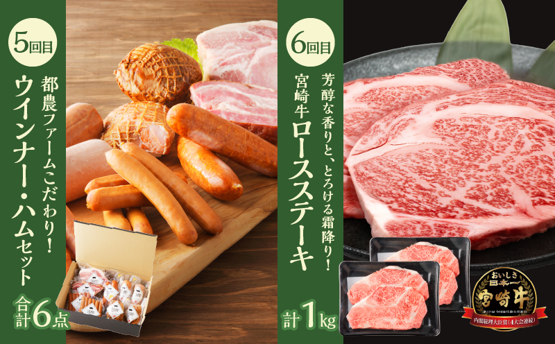 ≪6か月お楽しみ定期便≫都農町定期便(竹) 肉 加工品 鰻 国産_T999-0063