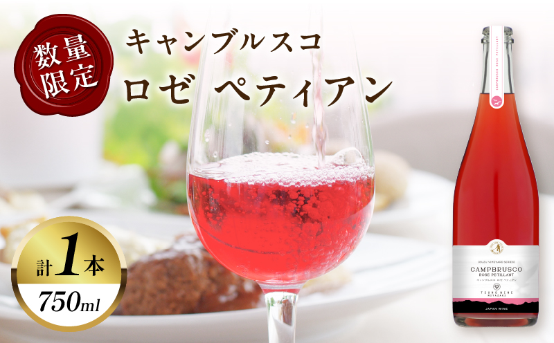 【数量限定】キャンブルスコ・ロゼ ペティアン (計1本) 酒 ワイン アルコール 国産_T014-019