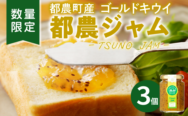 TSUNO JAMゴールドキウイ(計3個) 加工食品 フルーツ 果物  国産_T043-0055