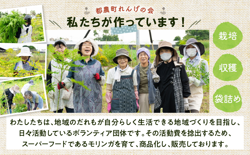 ＼ポスト投函／≪スーパーフード≫モリンガパウダー計120g 健康 粉末 パウダー 加工品 国産_T033-0015