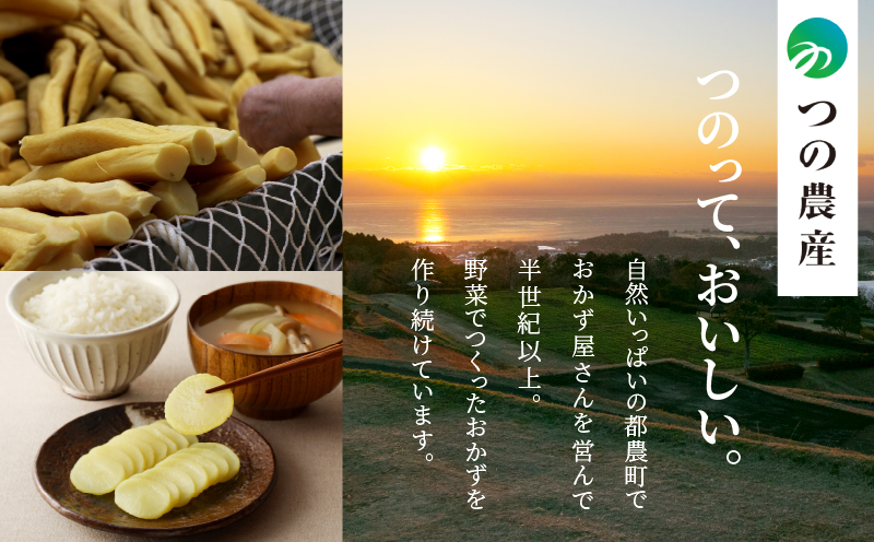 ＼ポスト投函／筍ごはんの素（2合用）漬物 おかず 野菜 加工品 国産_T037-0131