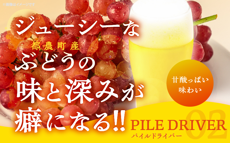 【2週間以内発送】都農クラフトビール詰め合わせ6本セット 酒 アルコール 飲料 国産_T016-0035