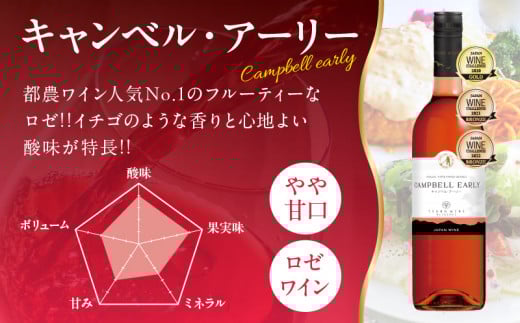 ≪定期便≫＼1か月に2回お届け!!／都農ワイン×ロースステーキ★最強コンビ 肉 牛肉 酒 飲料 国産_T999-0045