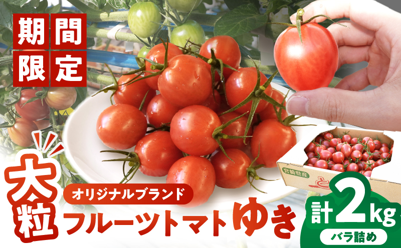 先行予約≪期間限定≫オリジナルブランド「フルーツトマト ゆき」計2kg ミニトマト 野菜 サラダ 国産_T047-0041