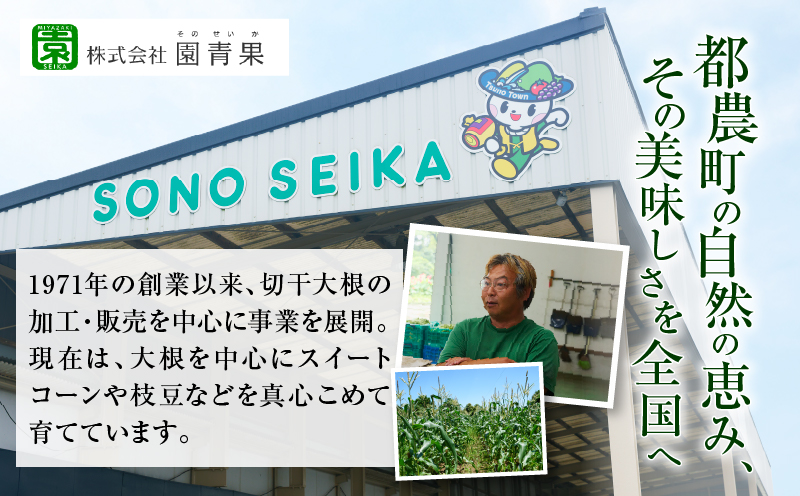 【2週間以内発送】≪宮崎県産≫田舎の味8種セット 野菜 加工品 国産_T003-0125