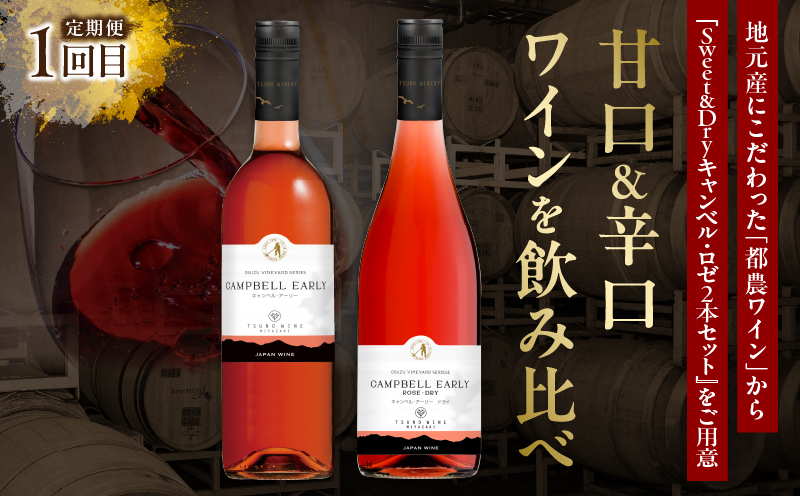 ≪定期便≫＼1か月に2回お届け!!／都農ワイン×ロースステーキ★最強コンビ 肉 牛肉 酒 飲料 国産_T999-0045