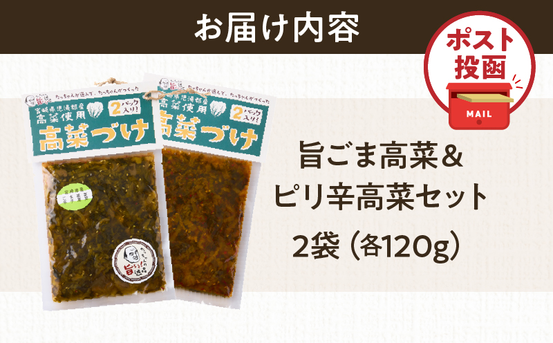＼ポスト投函／旨ごま高菜＆ピリ辛高菜セット 計2袋(各120g) 漬物 おかず 野菜 加工品 国産_T025-026