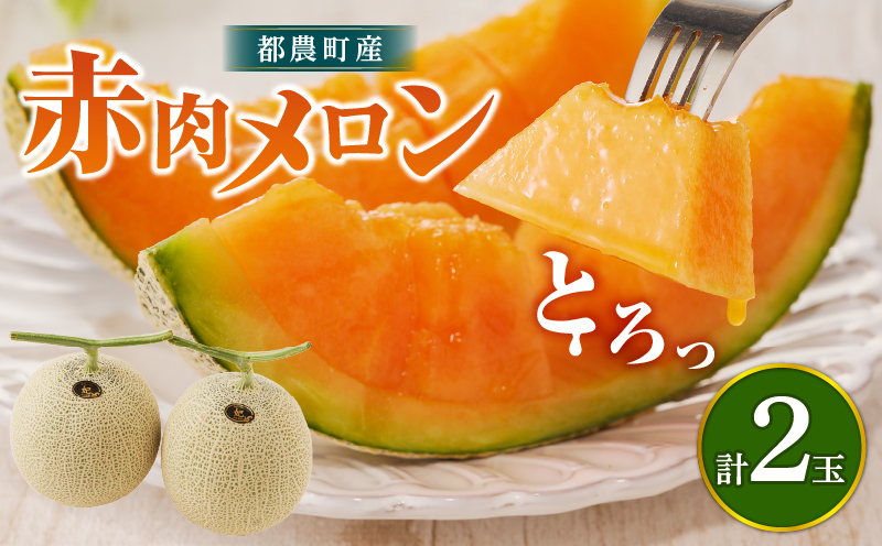 先行予約≪期間限定≫都農町産「赤肉メロン」計2玉 フルーツ 果物 デザート 国産_T015-0061-F