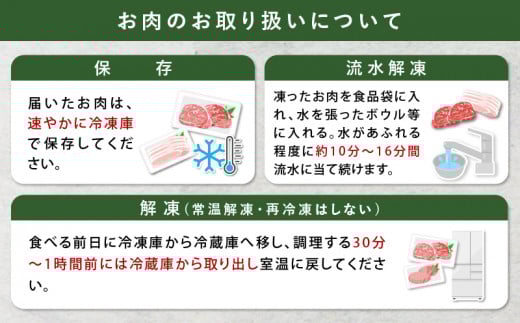 宮崎県産豚肉6種盛り合わせセット(合計4.1kg) 肉 豚 豚肉 おかず 国産_T030-204