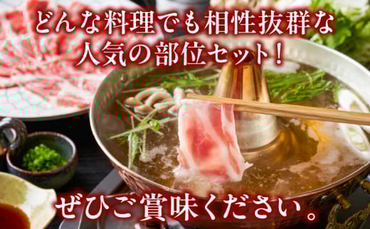 宮崎県産豚バラ＆豚肩ローススライスセット合計2.1kg 肉 豚 豚肉 焼肉 国産_T009-0075