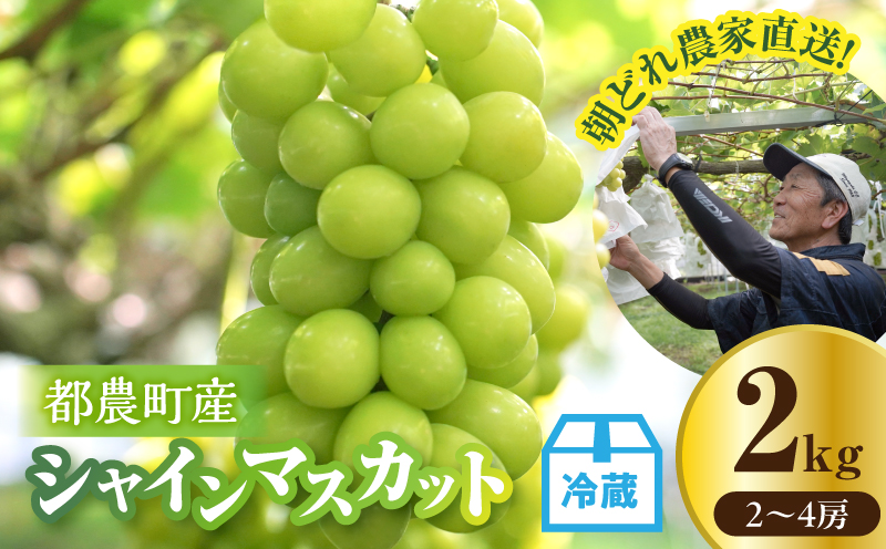 ≪先行予約≫都農町産シャインマスカット(計2kg) ぶどう 果物 国産_T010-0015