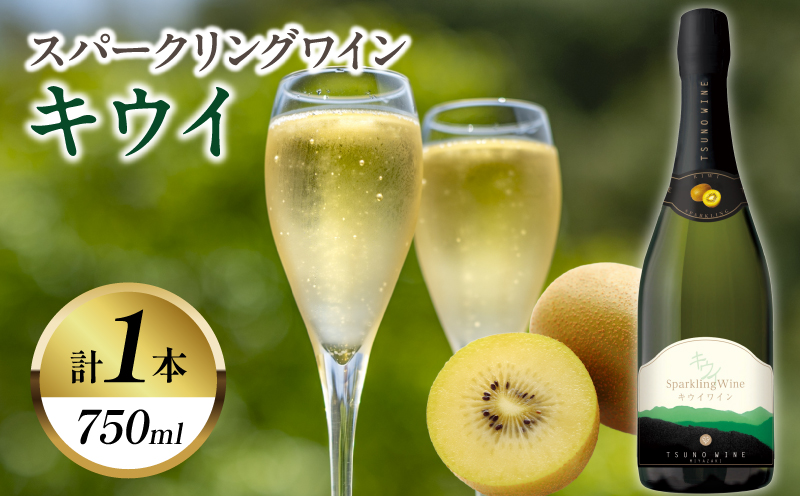 スパークリングワイン キウイ(計1本)酒 飲料 アルコール 国産_T014-0235