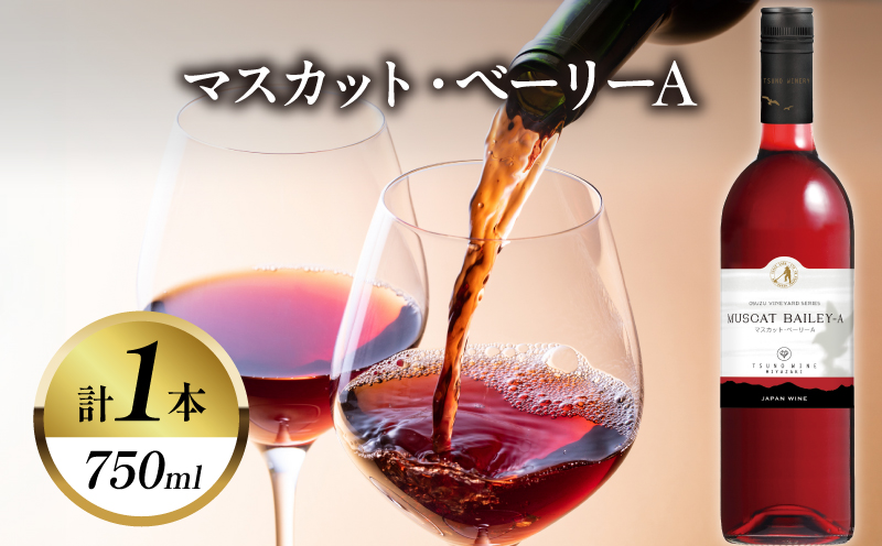 マスカット・ベーリーA (計1本) 酒 飲料 アルコール 国産_T014-0245
