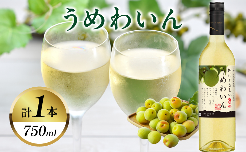うめわいん(計1本) 酒 飲料 アルコール 国産_T014-0295