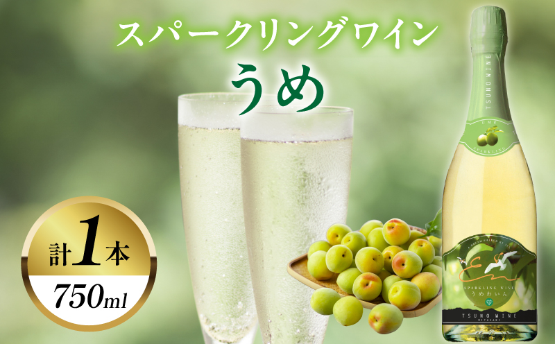 スパークリングワインうめ(計1本) 酒 飲料 アルコール 国産_T014-0305