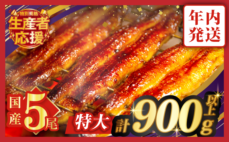 【年内発送】【数量・期間限定 特別規格】うなぎ蒲焼5尾(さんしょう・たれ付き)計900g以上 鰻 魚 魚介 加工品 国産_T026-0032-ZO-12
