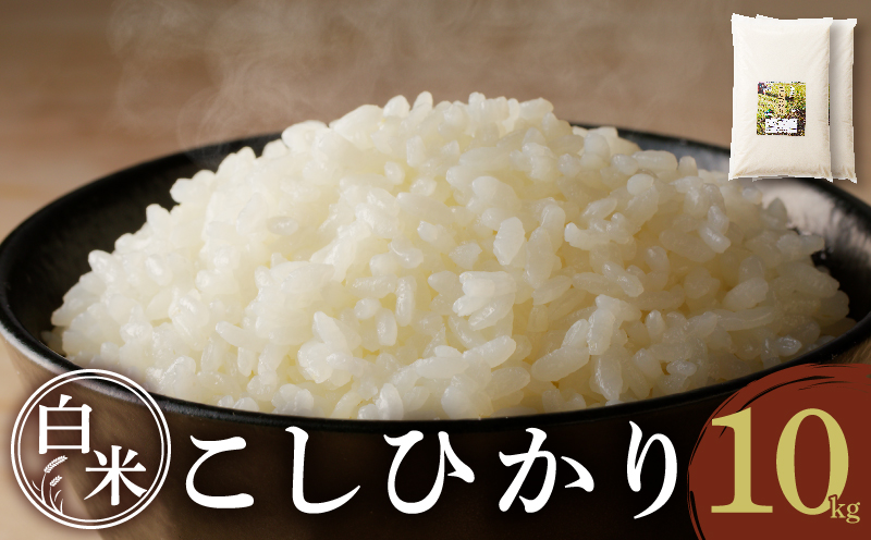 ≪都農町産≫新米コシヒカリ(計10kg) 米 お米 ご飯 国産_T031-0025