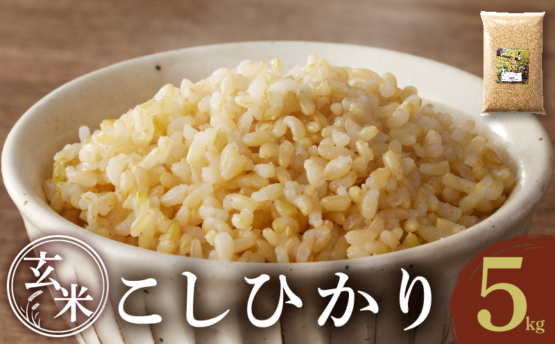 ≪都農町産≫新米コシヒカリ(玄米)5kg 米 お米 ご飯 国産_T031-0035