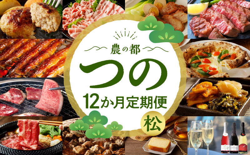 ≪12か月お楽しみ定期便≫都農町定期便(松) 肉 加工品 デザート 国産_T999-0103