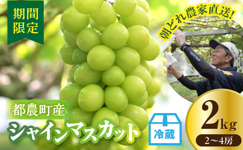 先行予約≪期間限定≫都農町産シャインマスカット(計2kg) ぶどう 果物 国産_T010-0015