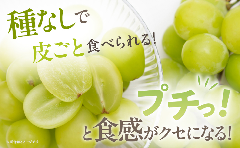 å
è¡äºçŽâªæééå®â«éœèŸ²çºç£ã·ã£ã€ã³ãã¹ã«ãã(èš2kg) ã¶ã©ã æç© åœç£_T010-0015