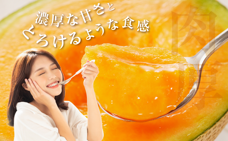 夏用 先行予約≪期間限定≫都農町産「赤肉メロン」計2玉 フルーツ 果物 デザート 国産_T015-0065-N