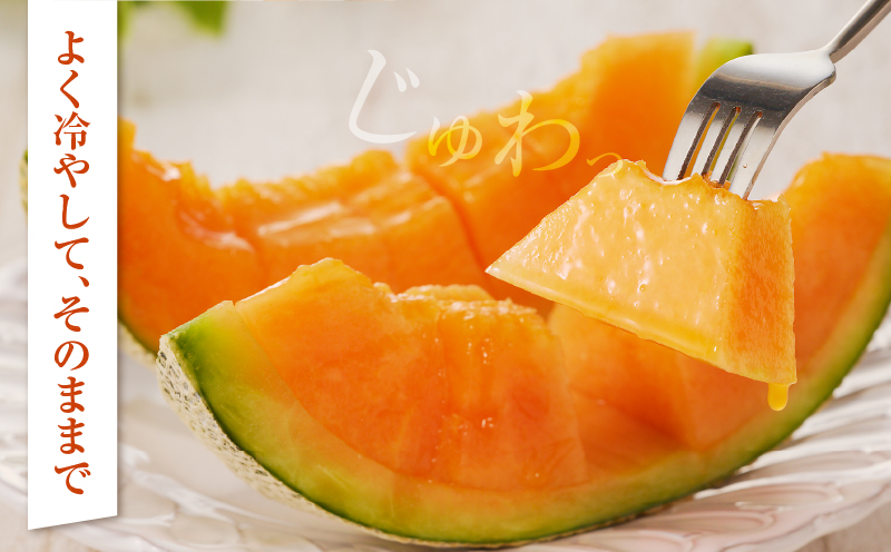 夏用 先行予約≪期間限定≫都農町産「赤肉メロン」計2玉 フルーツ 果物 デザート 国産_T015-0065-N