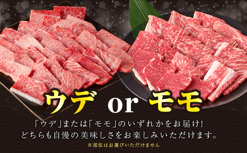 【畜産農家応援!!】≪肉質等級4等級以上≫黒毛和牛赤身焼肉(計1kg) 肉 牛 牛肉 国産_T030-0936