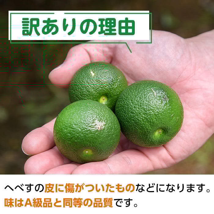＜先行予約受付中！2026年6～7月の間に発送予定＞期間限定！訳あり！門川町産へべす(2kg)柑橘 果汁 国産 特産品 宮崎県 門川町【AM-2】【川崎農園】