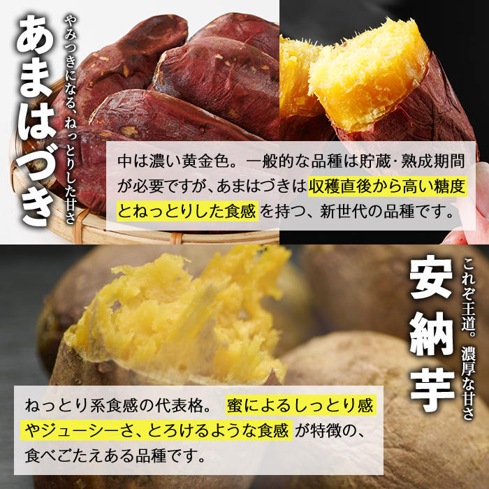 ＜先行予約受付中！2026年10月から順次発送予定＞冷凍 焼き芋 食べ比べ セット(あまはづき・安納芋・500g×各2袋)冷凍 焼芋 焼き芋 やきいも さつまいも さつま芋 レンジ小分け おやつ 宮崎県 門川町【YO-23】【株式会社 陽】