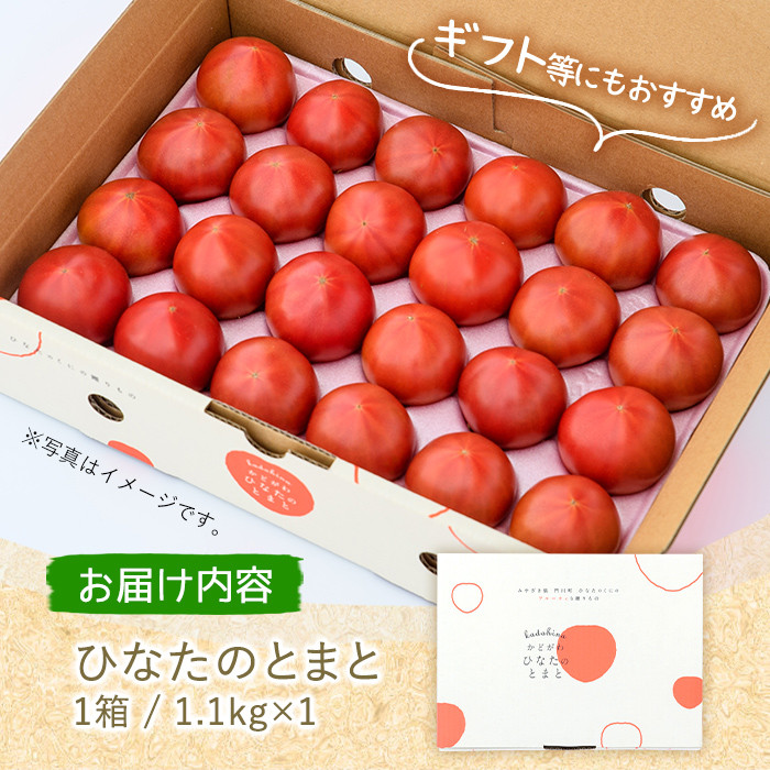 ひなたのとまと(1.1kg)トマト フルーツトマト 糖度 9度 以上 野菜 旬野菜 冷蔵 国産 宮崎県産【A-4】【新門トマト農園】