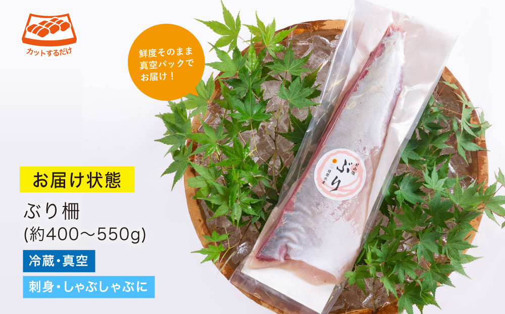 【北海道・離島配送不可】日向灘ぶりのお刺身(約400〜550g)魚介 魚 旬 海鮮 ブリ 鰤 ぶり柵 刺身 しゃぶしゃぶ 冷蔵 宮崎県 門川町【UZ-03】【請関水産】