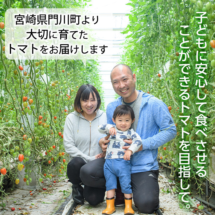 カラフルトマト食べ比べセット(約1kg) 国産 宮崎県産 とまと 野菜 サラダ 黄色 オレンジ みどり 紫 アイコ 赤 セレブスイート 【KT-9】【K.Tfarm】