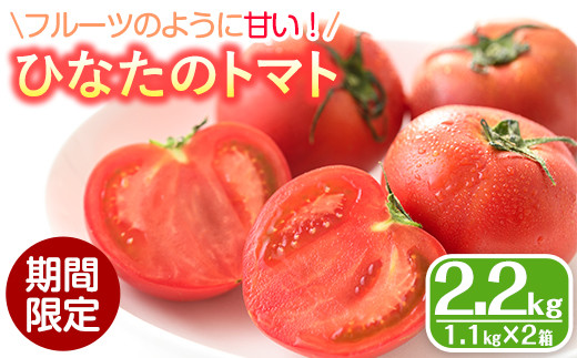 ＜先行予約受付中！2026年2月から順次発送予定＞ひなたのとまと(計2.2kg・1.1kg×2箱)トマト フルーツトマト 糖度 9度 以上 野菜 旬野菜 冷蔵 門川町産 宮崎県 門川町【A-3】【株式会社 新門トマト農園】