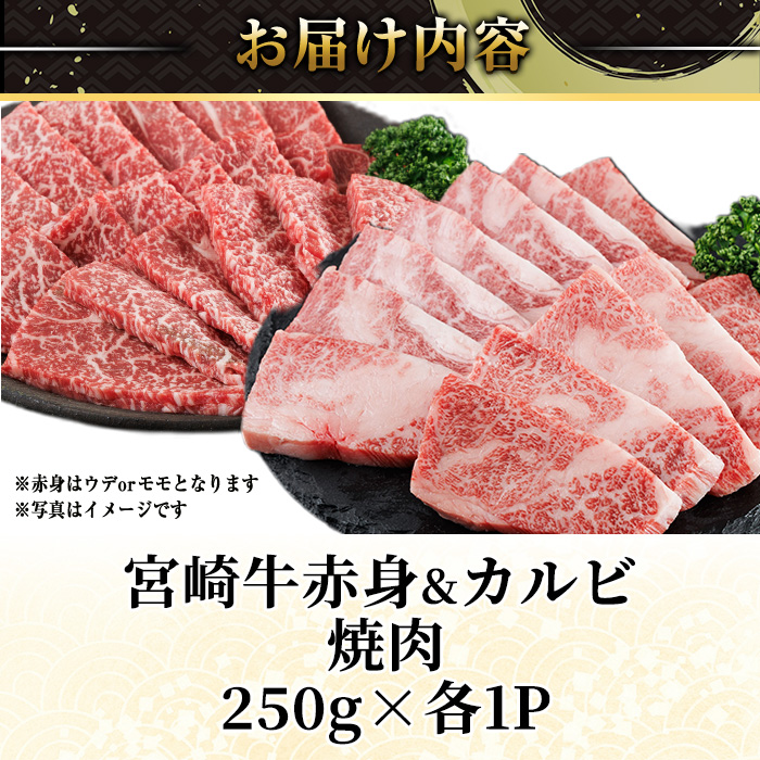 宮崎牛 赤身＆カルビカット 焼肉 (合計500g・250g×2) 焼肉 お肉 牛肉 黒毛和牛 宮崎牛 ブランド和牛 冷凍 国産 カルビ 赤身 宮崎県産 【YM-41】【YAMATO株式会社】
