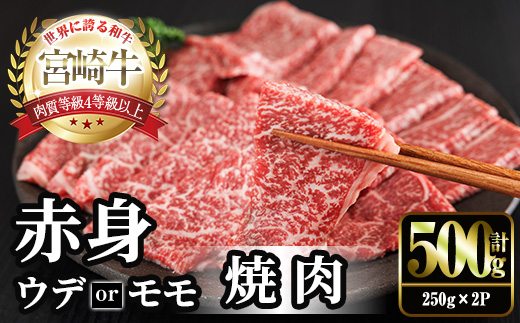 宮崎牛 赤身カット 焼肉 (計500g・250g×2) 焼肉 お肉 牛肉 黒毛和牛 宮崎牛 ブランド和牛 冷凍 国産 モモ ウデ 宮崎県産 【YM-20】【YAMATO株式会社】